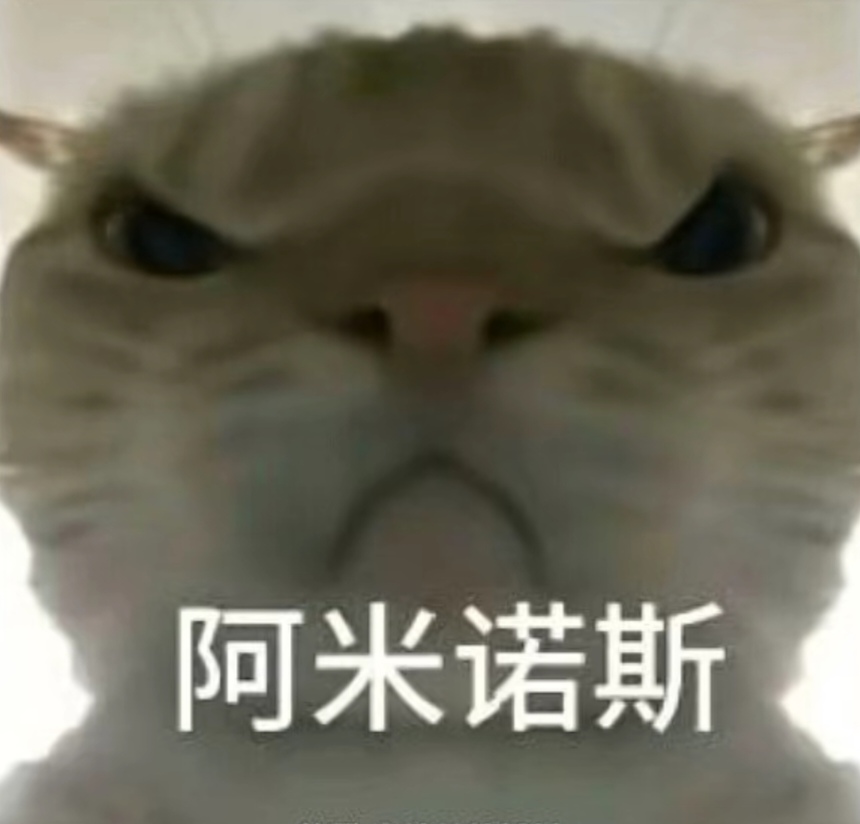 蛋白质摄入