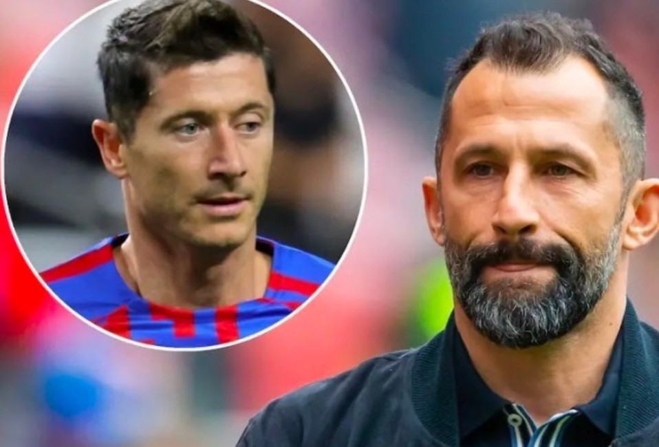 更是对质疑 更是对质疑