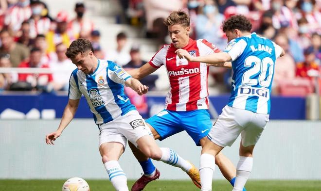 案例分析 案例分析