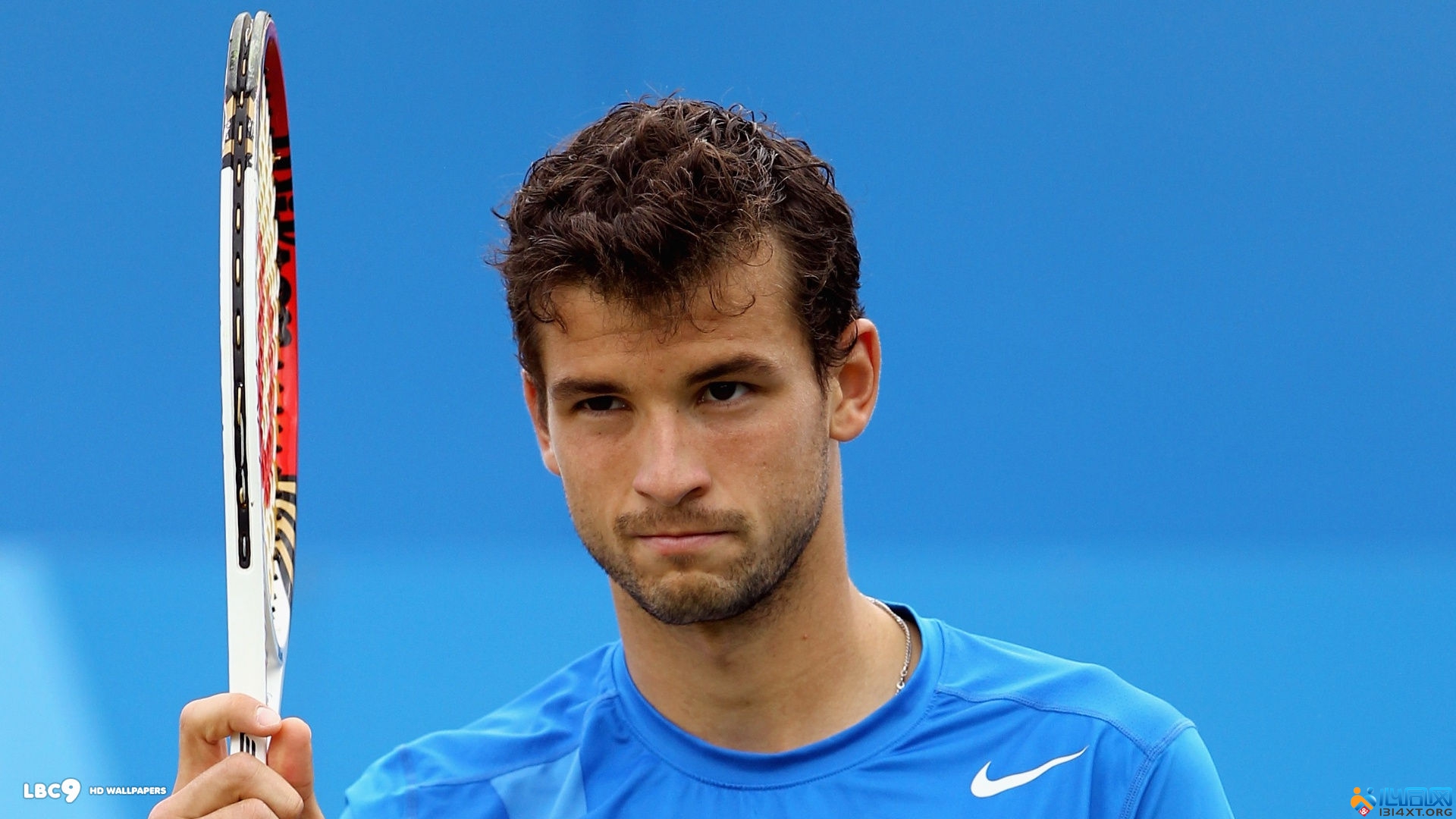 护者队却在 护者队却在